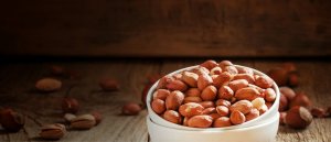 Osmanlıoğlu Kuruyemiş Çalışma ve Mesai Saatleri